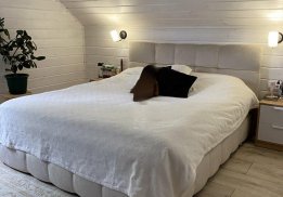 Пріма з механізмом фото 2