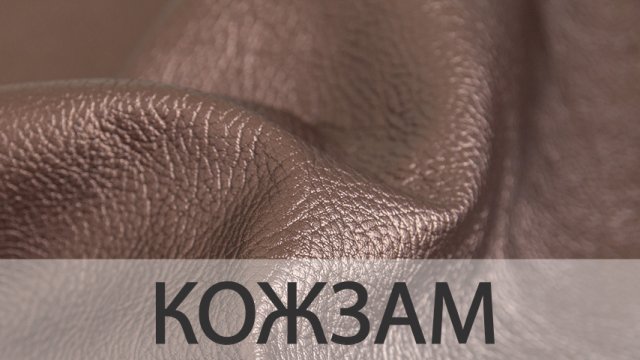 Шкірозамінник