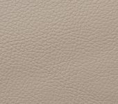 Champagne Bubble 01-1