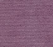 Light grey purple