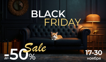 Черная пятница 2025